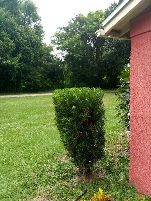 Foto del edificio - 509 E Magnolia St