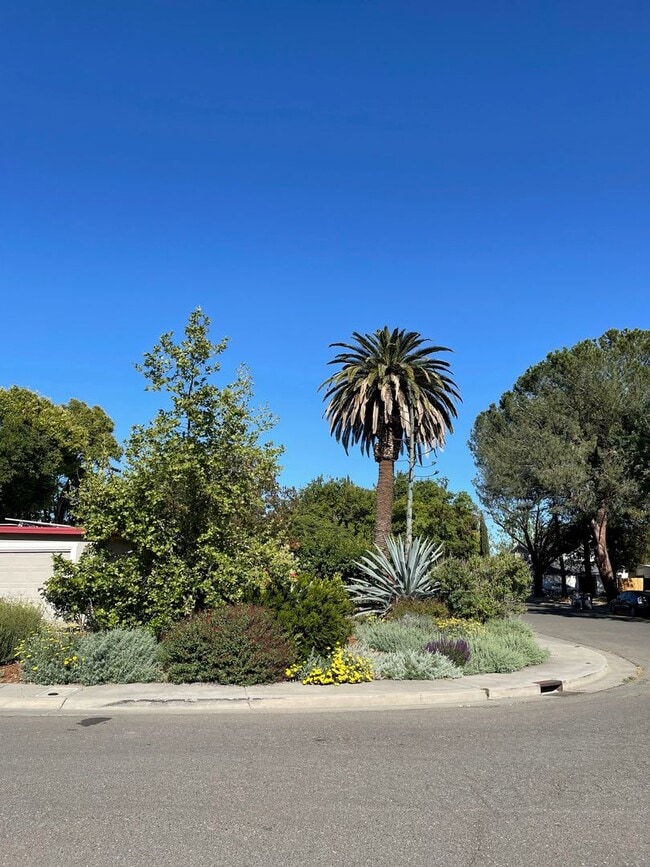 Building Photo - WELL MAINTAINED SINGLE STORY HOME WITH SOL...
