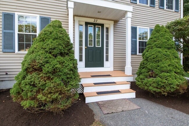 Foto del edificio - 37 Forest Rd