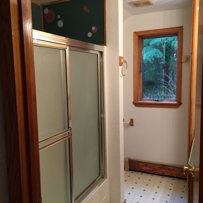 Bathroom - 301 Spruce St