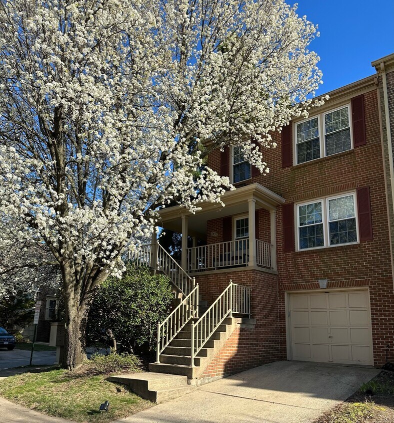 Foto principal - 8451 Millwood Pl