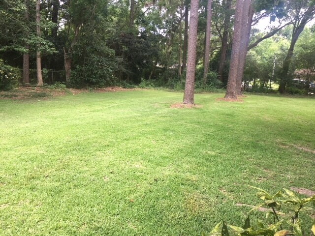 Primary Photo - Edgewood Place subd. West Mobile 3/2 Large...