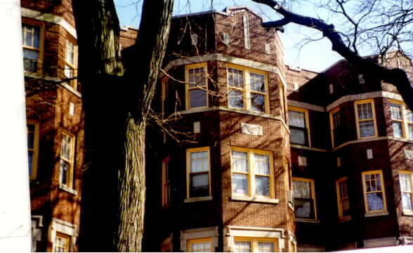 Primary Photo - 7705 S Laflin St