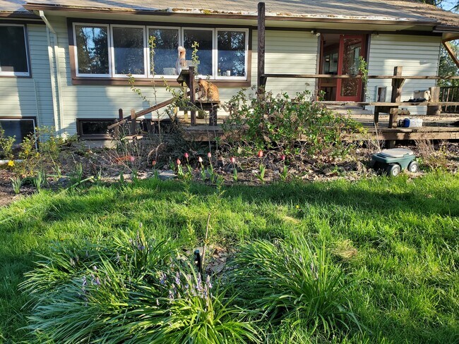 Vista de la puerta trasera - 920 SW Stephenson Ct