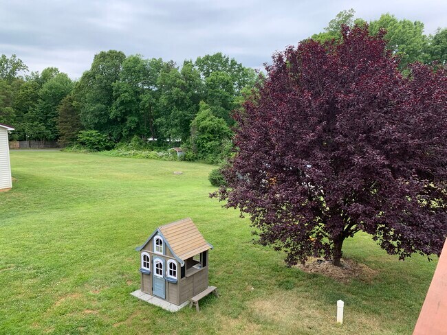 Back yard - 918 Jasper Wood Rd
