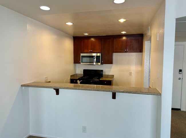 Foto del edificio - Beautiful Renovated 1 Bed/1 Bath Condo with Many Upgrades! Pool & Gym on Site! Central AC!