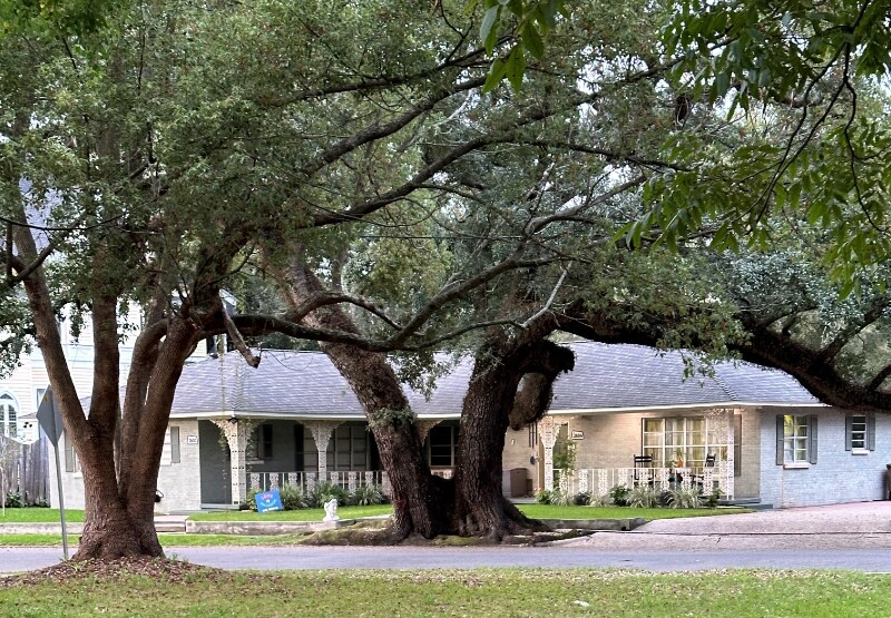 260 Michigan Ave Unit Apt C, Mobile, AL 36604 Room for Rent in Mobile