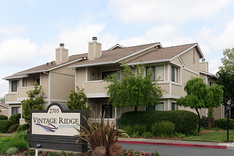 Vintage Ridge Apartment Homes photo'