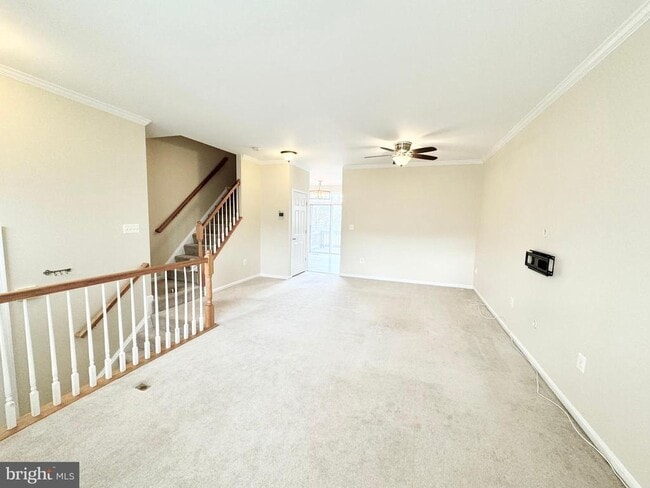 Building Photo - 15239 Brazil Cir