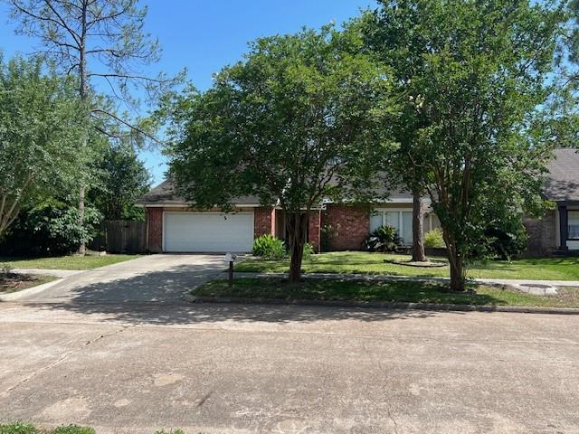 Foto del edificio - 12703 Braewood Glen Ln