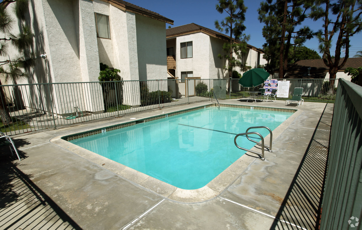 Piscina - Summerdale Apartments