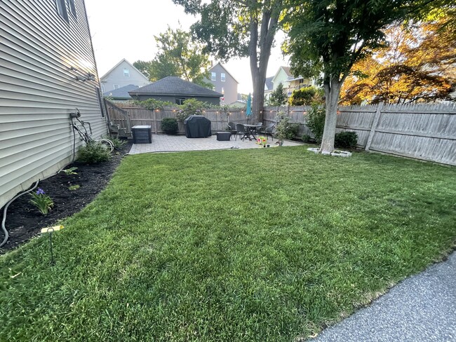 Yard/patio - 142 Myrtle St