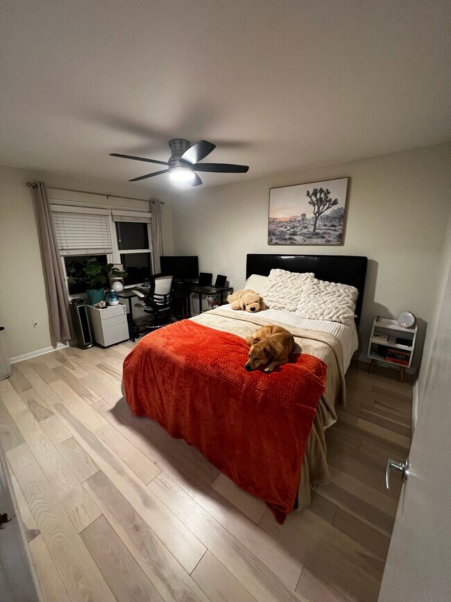 Dormitorio principal n.° 1 **Sin amueblar** - 3814 Usher Ct