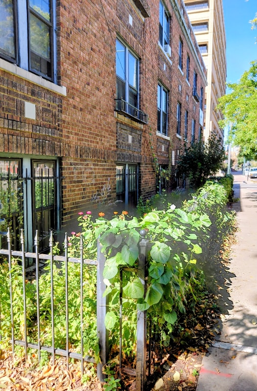 Photo - 440 E 13th Ave Apartment