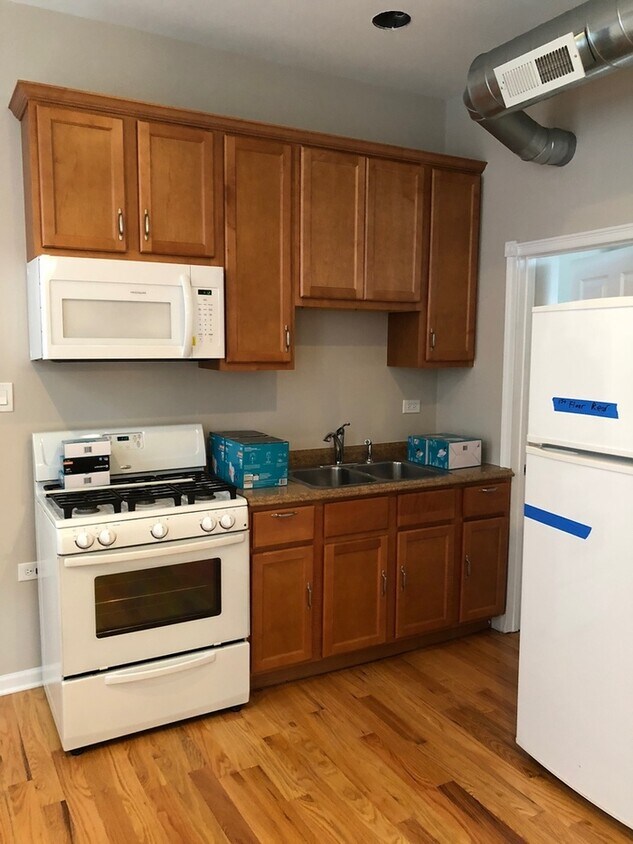 Rehabbed Pilsen 2 Bedroom Apartment. Apartment for Rent in Chicago