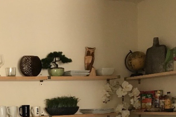 Foto del edificio - 1824 Dismuke St