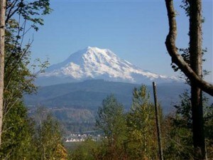 Foto del edificio - 14120 172nd Pl E