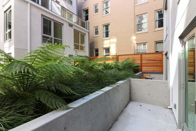 Building Photo - Brand-New Condo at Stage 1075