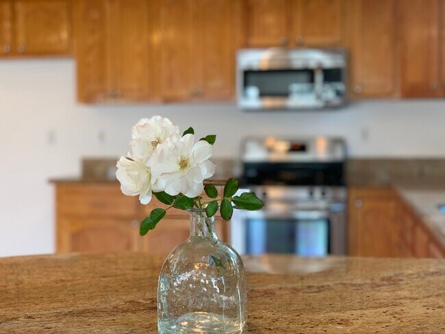 Electrodomésticos de acero inoxidable - 4635 Lindblade Dr