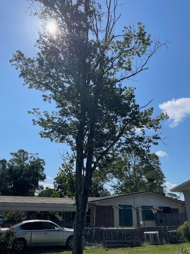 Photo - Beautiful 2-1 House