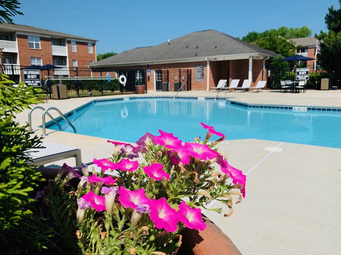 Cushendall Commons Apartments Rock Hill, SC