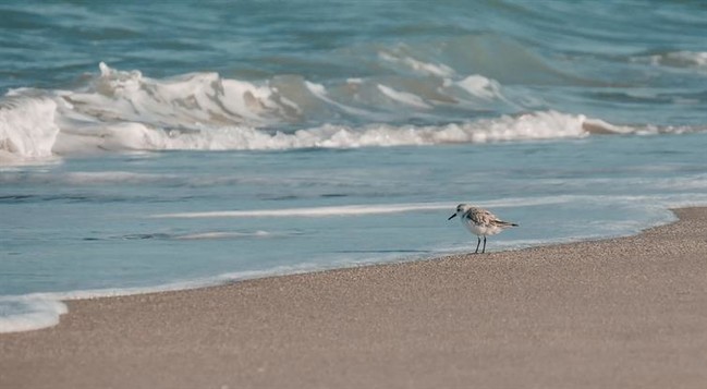 Waiting in West Palm Beach