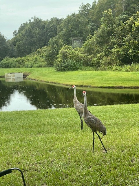 Foto del edificio - 8650 Eagle Brook Dr