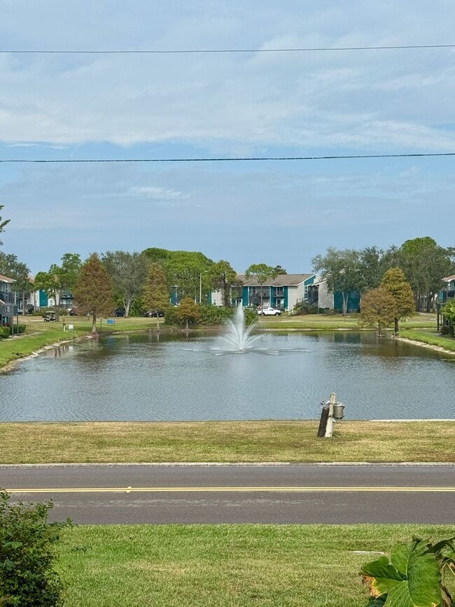 Building Photo - NORTH ST. PETE - locaiton location 2/2