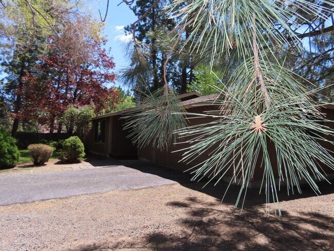 Building Photo - 3 br, 2 bath House - 20535 Woodside Court