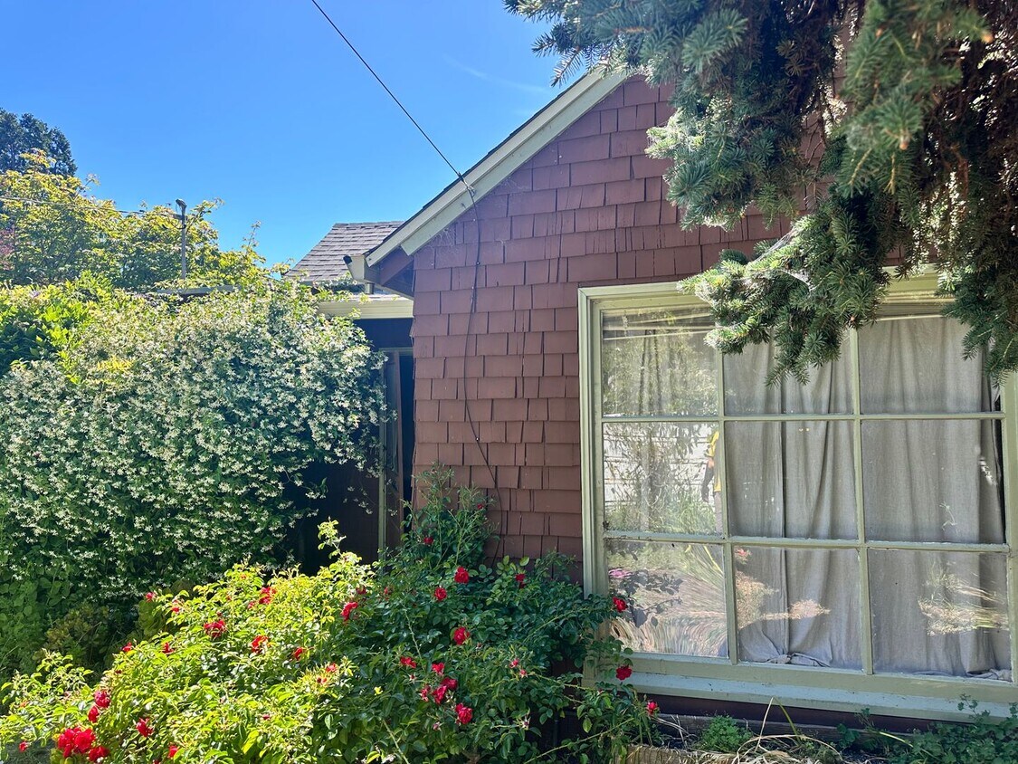 1222 Shattuck Ave. Unit 1, Berkeley, CA 94709 Room for Rent in