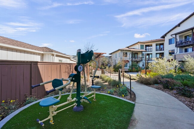 Building Photo - Siesta Senior Apartments