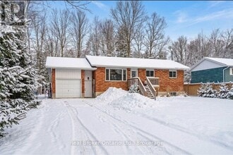 Building Photo - 16 Mundy Ave