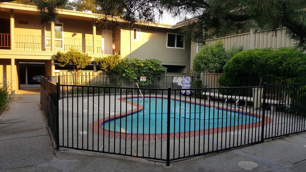 Swimming Pool - 408 La Gonda Way
