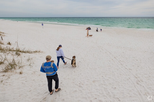 East Dog Beach: where wagging tails and ocean breezes meet.