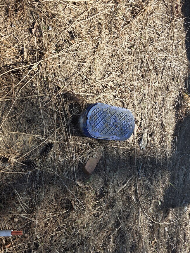 Building Photo - 105 Woodland Dr