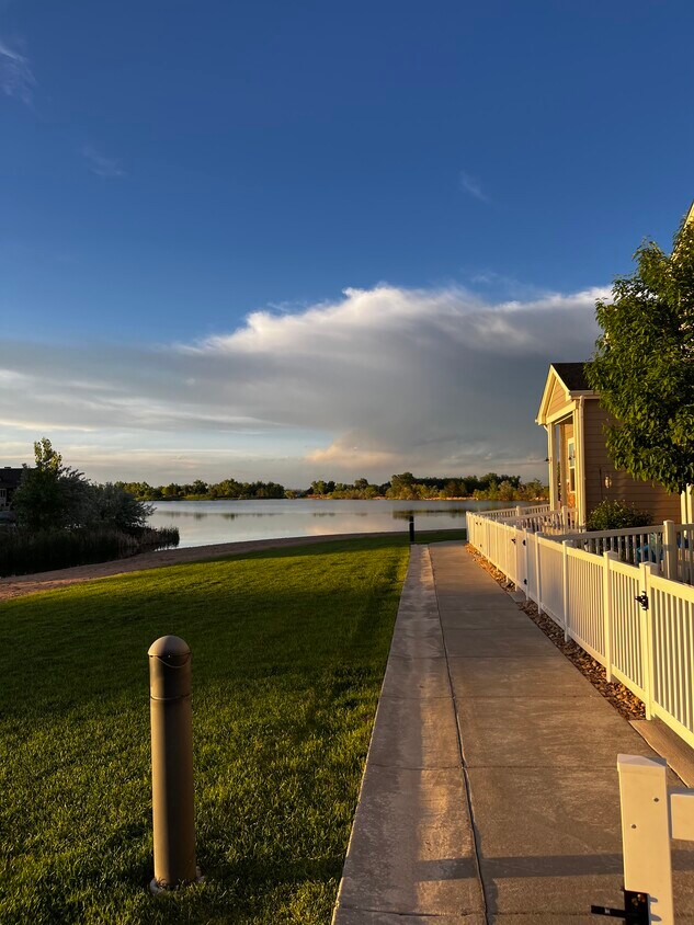 2154 Montauk Ln, Windsor, CO 80550 Townhome Rentals in Windsor CO