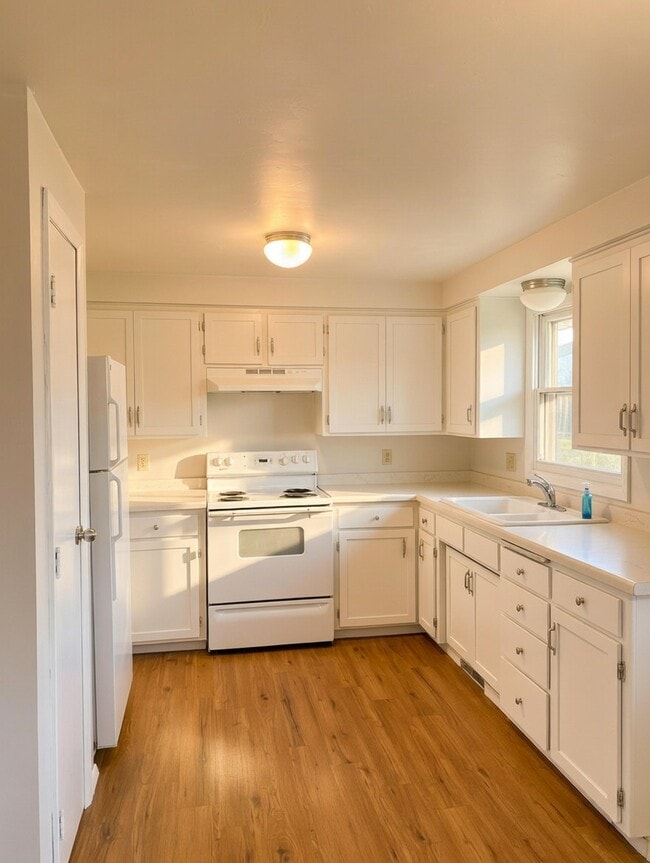 Foto del edificio - 1619 Beech Tree Dr