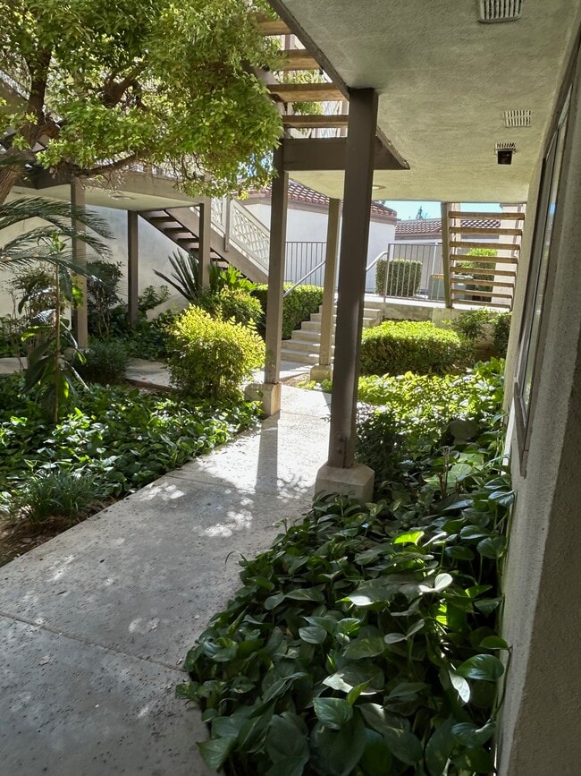 Building Photo - 3429 Legato Ct