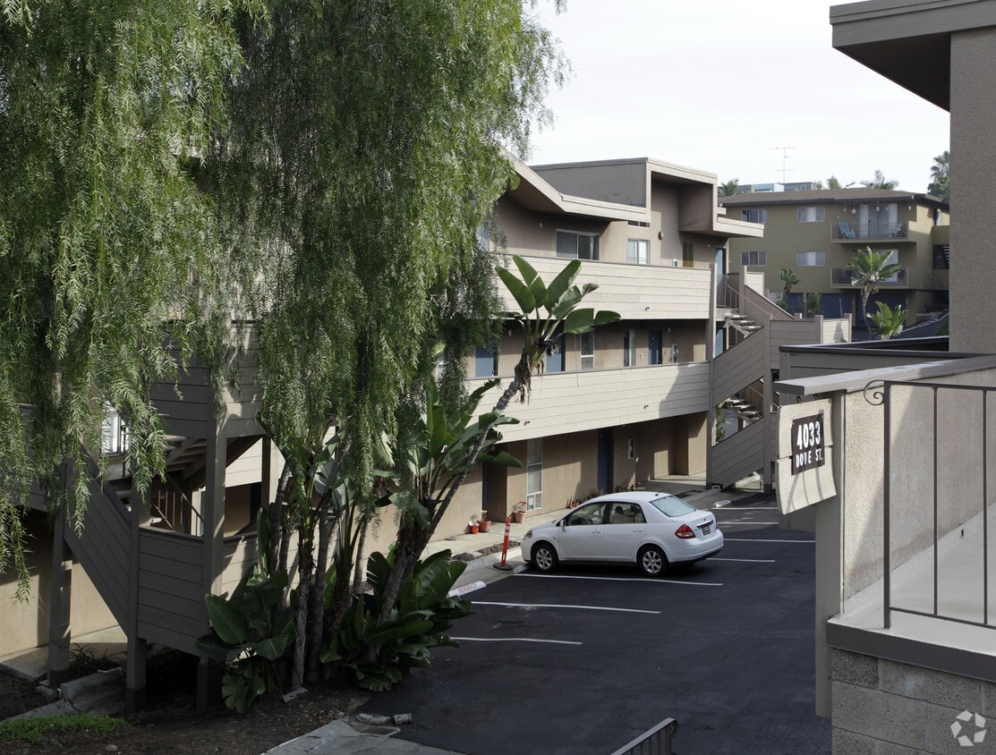 Primary Photo - 4033 Dove St