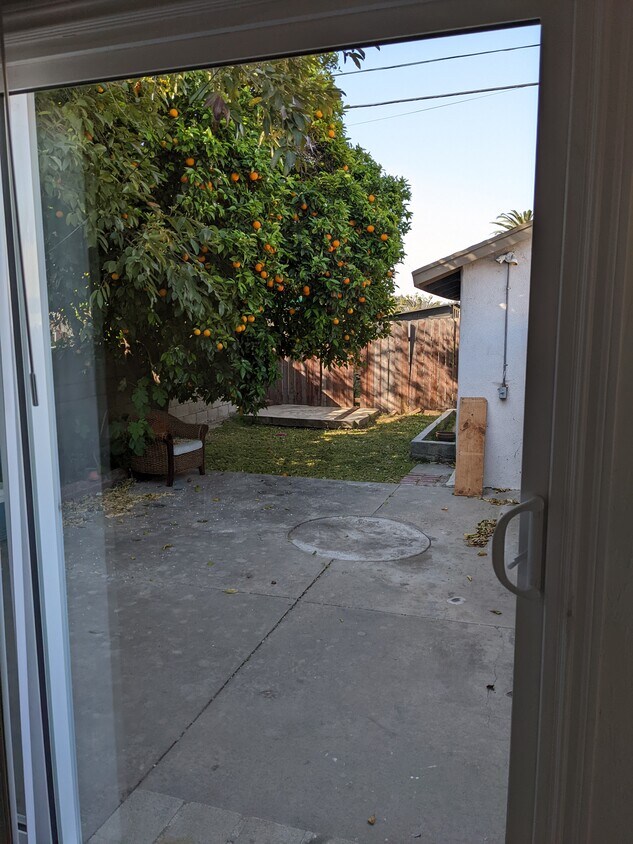 backyard - 3924 Seneca Ave