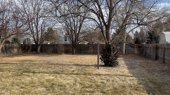 Building Photo - Great Home in Greeley