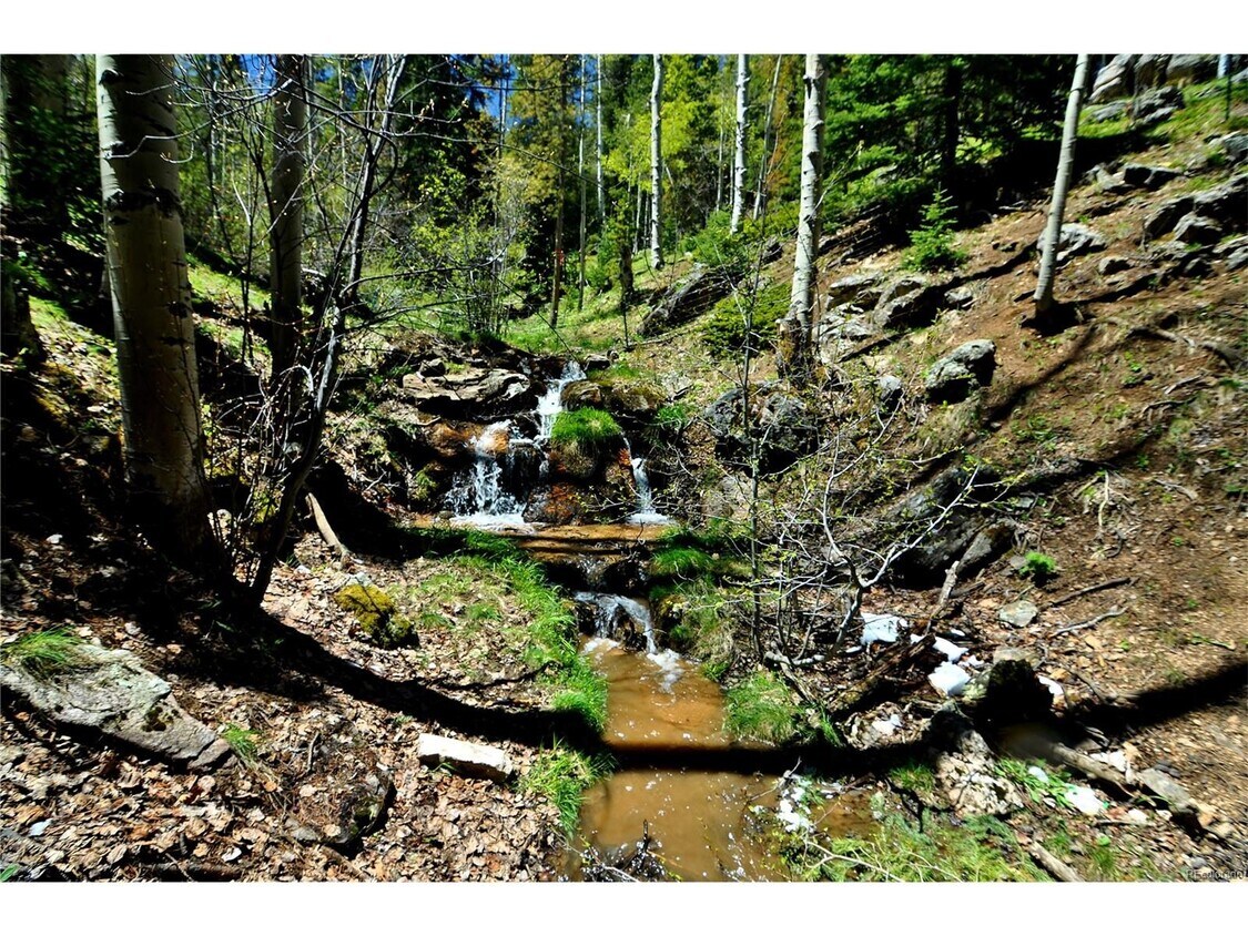 97 Pawnee Trl Unit Mountain Living 1 BR, Evergreen, CO 80439