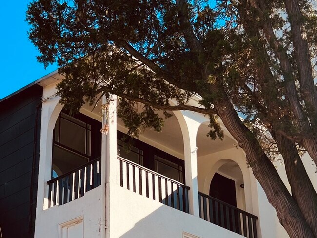 Building Photo - 347 Alvarado St