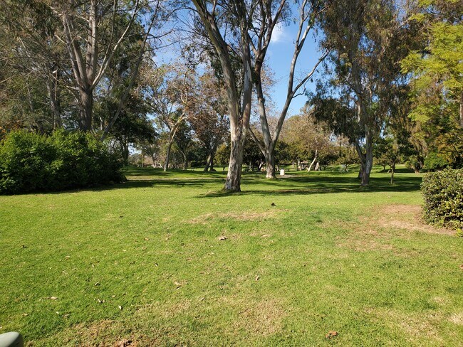 Building Photo - 3203 Via Marin