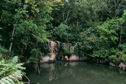 Cascada - Goldelm at Cedar Bluff