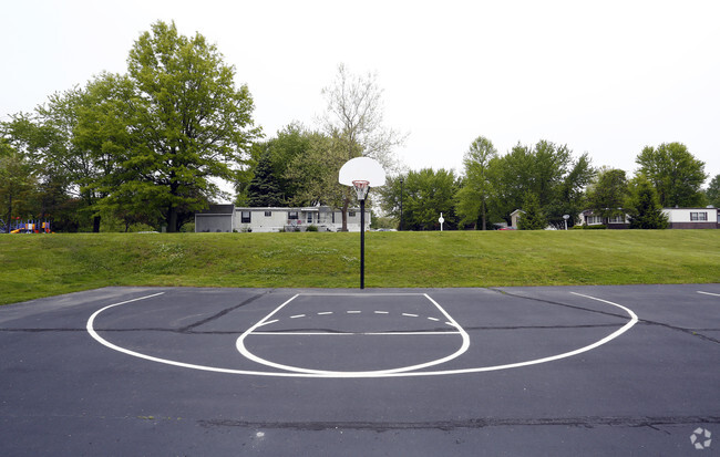 Cancha de básquetbol - Woods Edge