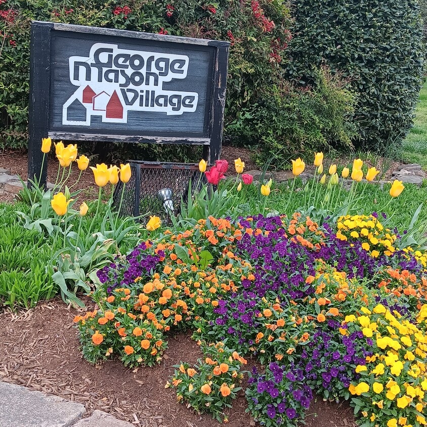 Photo - 1510 S George Mason Dr (Arlington, VA)