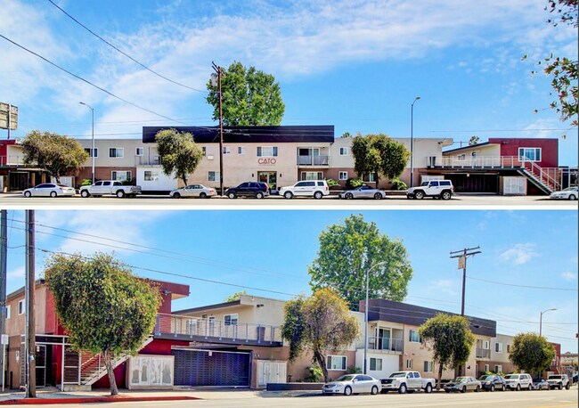 Interior Photo - CATO