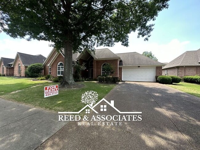 Building Photo - Nice 3 Bedroom in Collierville!