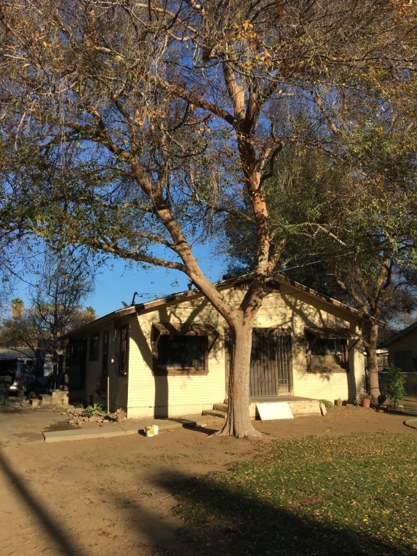 Primary Photo - 3731 Polk St